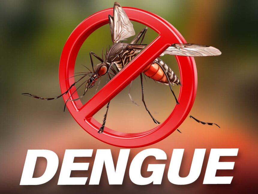 Cas de dengue