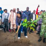 reboisement au Togo