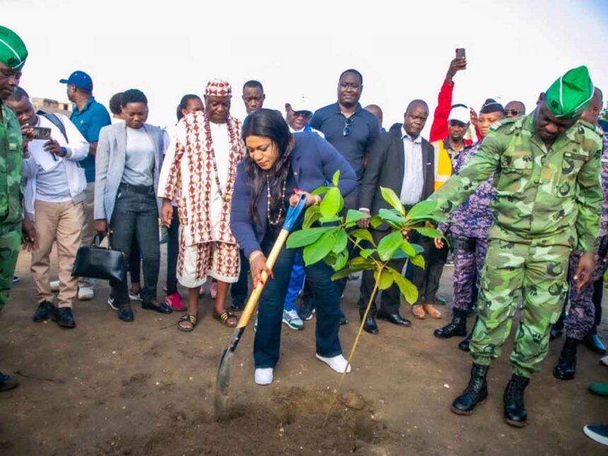 reboisement au Togo