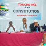 Nouvelle constitution