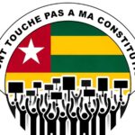 la nouvelle constitution