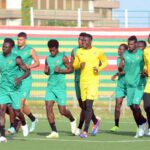 Eperviers du Togo
