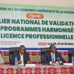 Licences professionnelles