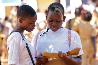 milieu scolaire