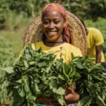 Agence de Transformation Agricole