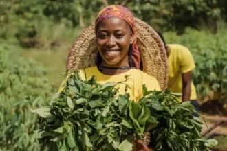 Agence de Transformation Agricole