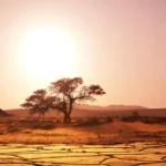 Justice climatique