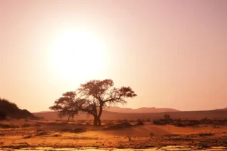 Justice climatique