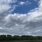 prévision intra-saisonnière