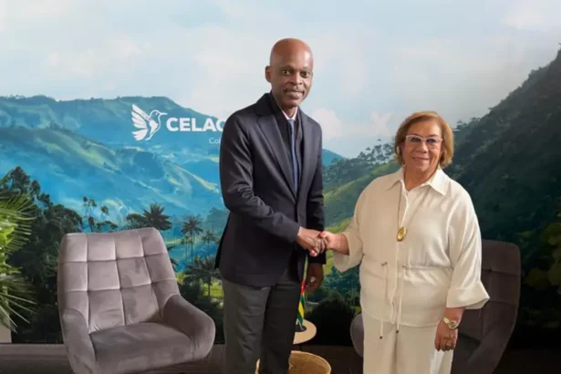 académies diplomatiques