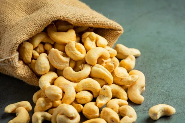 Noix de cajou