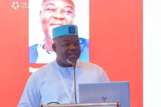 Enseignement supérieur