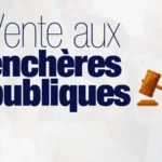 vente aux enchères