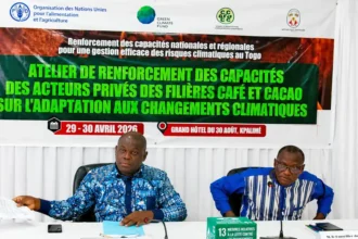 filières café et cacao