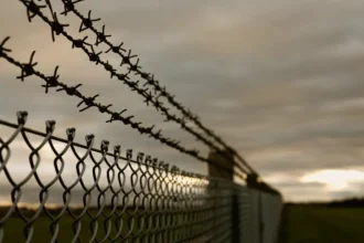 Autorité togolaise des frontières