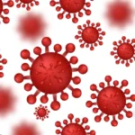 Hantavirus