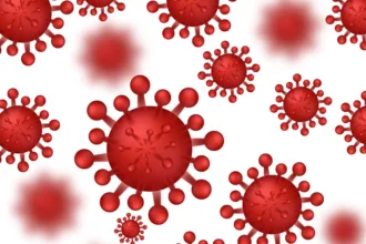 Hantavirus