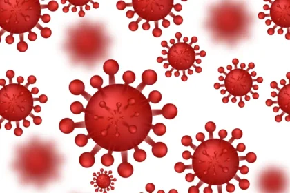 Hantavirus