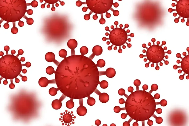 Hantavirus