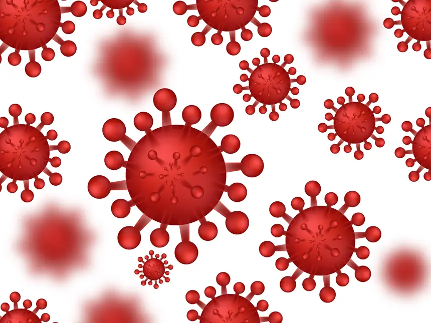 Hantavirus