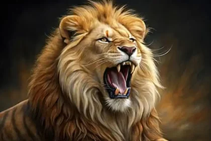 fausse alerte au lion