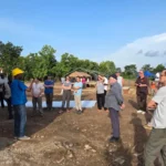 cacao togolais