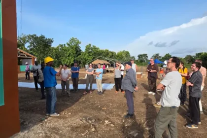 cacao togolais