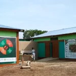 cacao de qualité