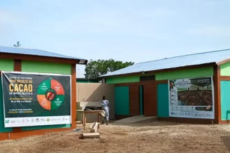 cacao de qualité