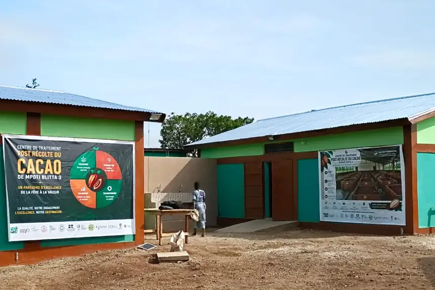 cacao de qualité