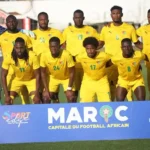 Éperviers du Togo