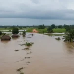 la rivière Zio