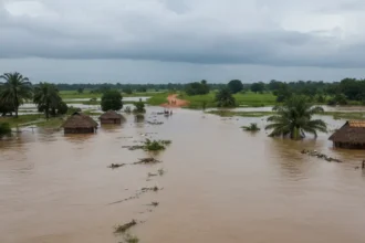 la rivière Zio