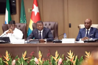 Alliance politique africaine