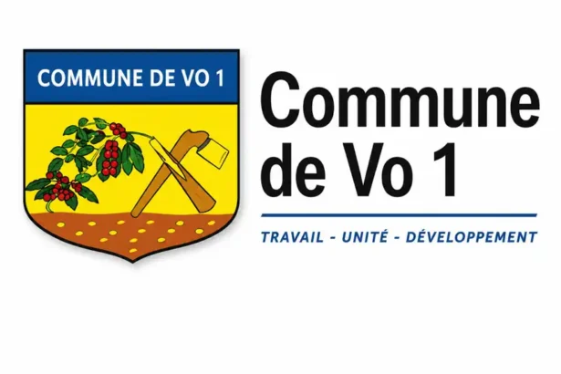 les mineurs