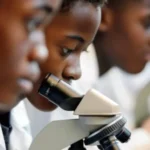 Collèges scientifiques