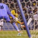 les Chipolopolo